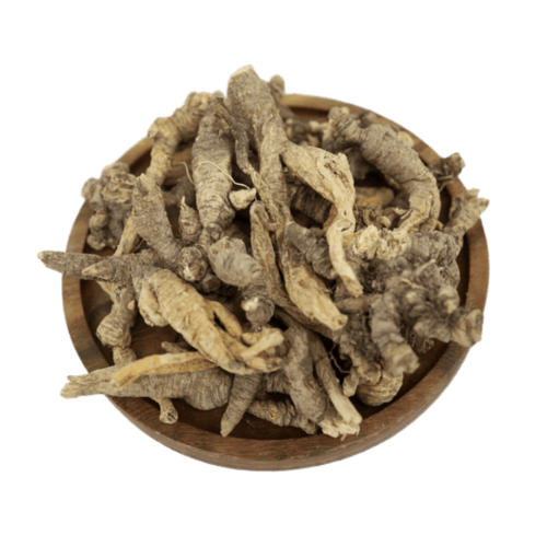 말린 잔대뿌리 ( Japanese Ladybell Root