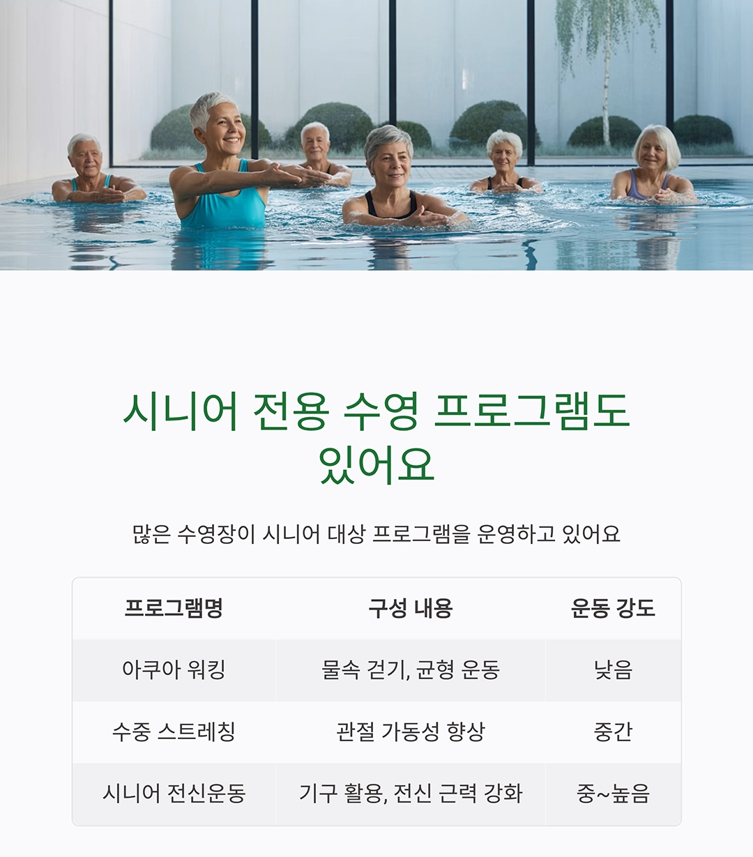 시니어 수영, 전신 근육 강화와 스트레스 해소를 한 번에