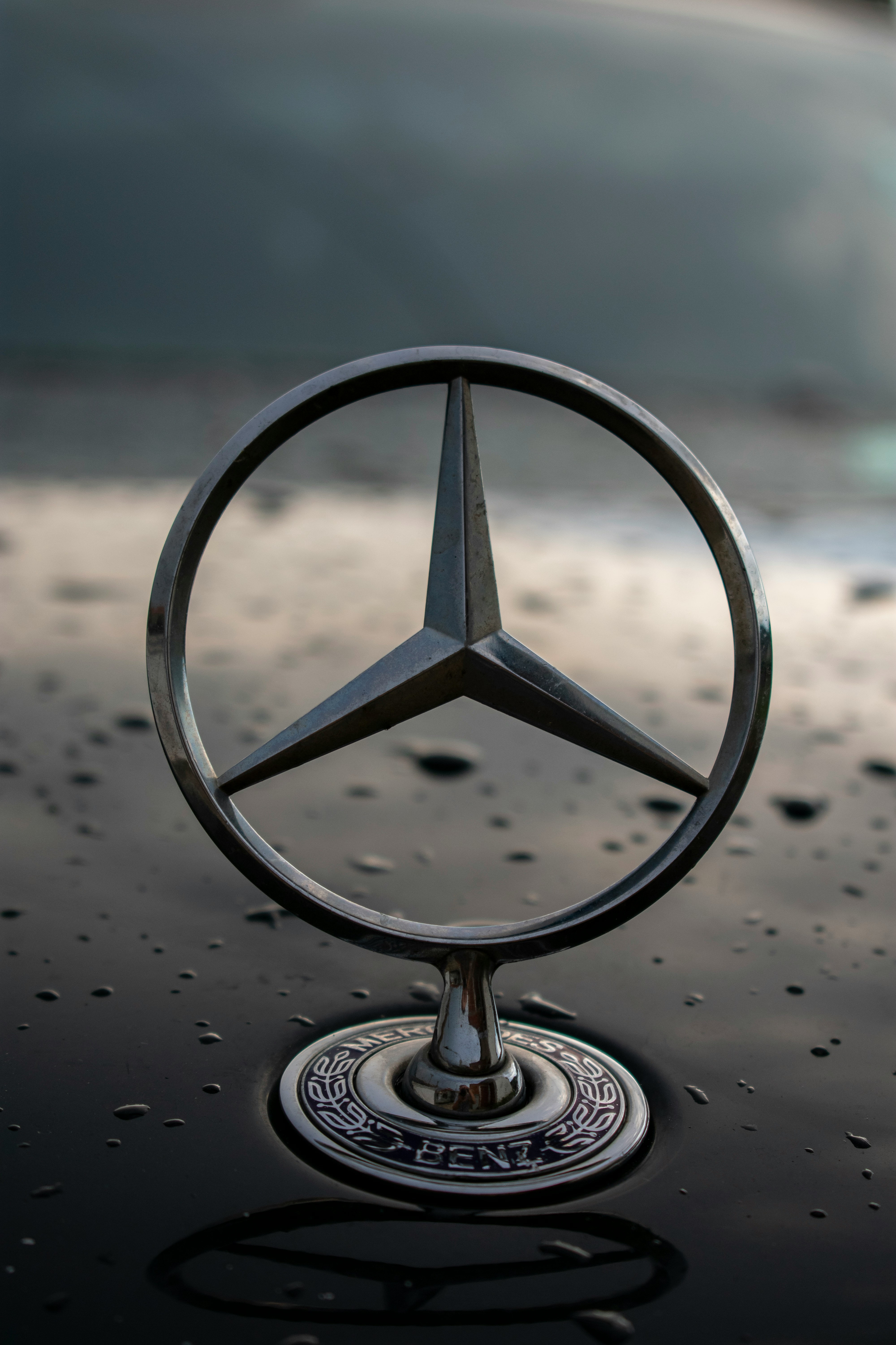 벤츠 AMG 단종 리스트 공개