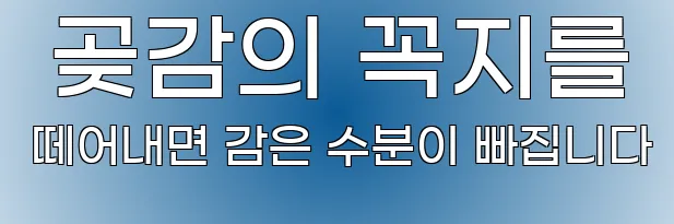  곶감의 꼭지를 떼어내면 감은 수분이 빠집니다