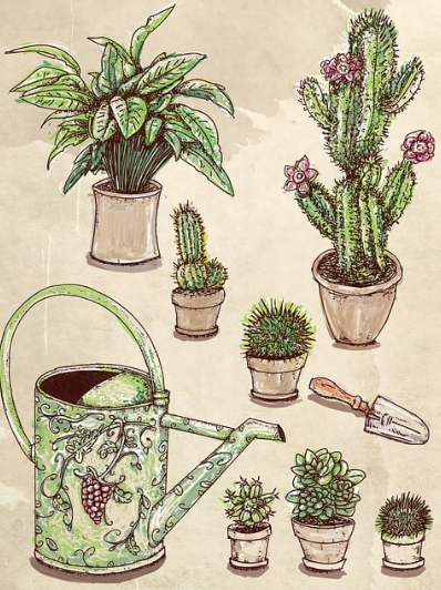 식물별 키우기 난이도 & 추천 식물 TOP 5