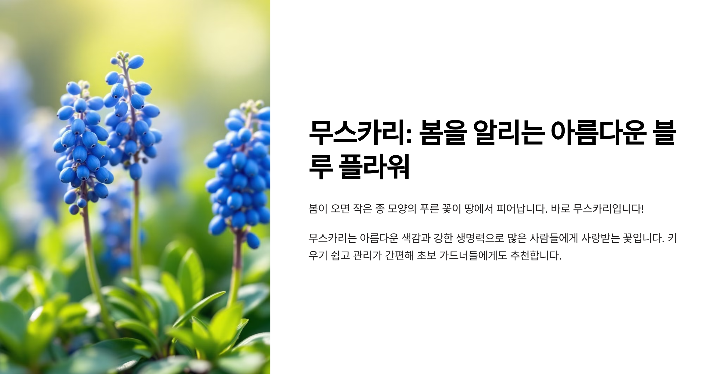 무리카리 꽃 사진