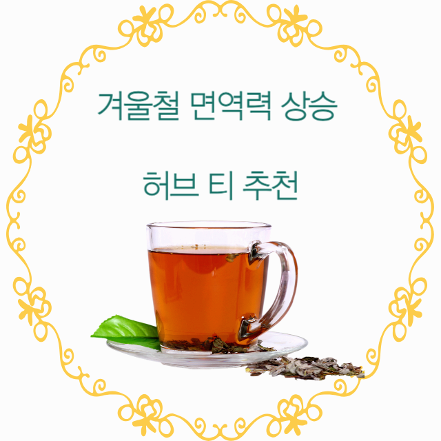 겨울철 면역력 상승 허브 티 추천