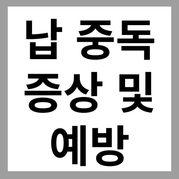 납 중독