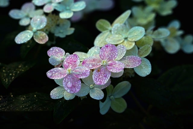 용산역-영등포역-수원역-서대전역-익산역-전주역-순천역-여수엑스포역 운행 전라선 무궁화호 새마을호 운행 시간표 운임 요금 열차표 예매4