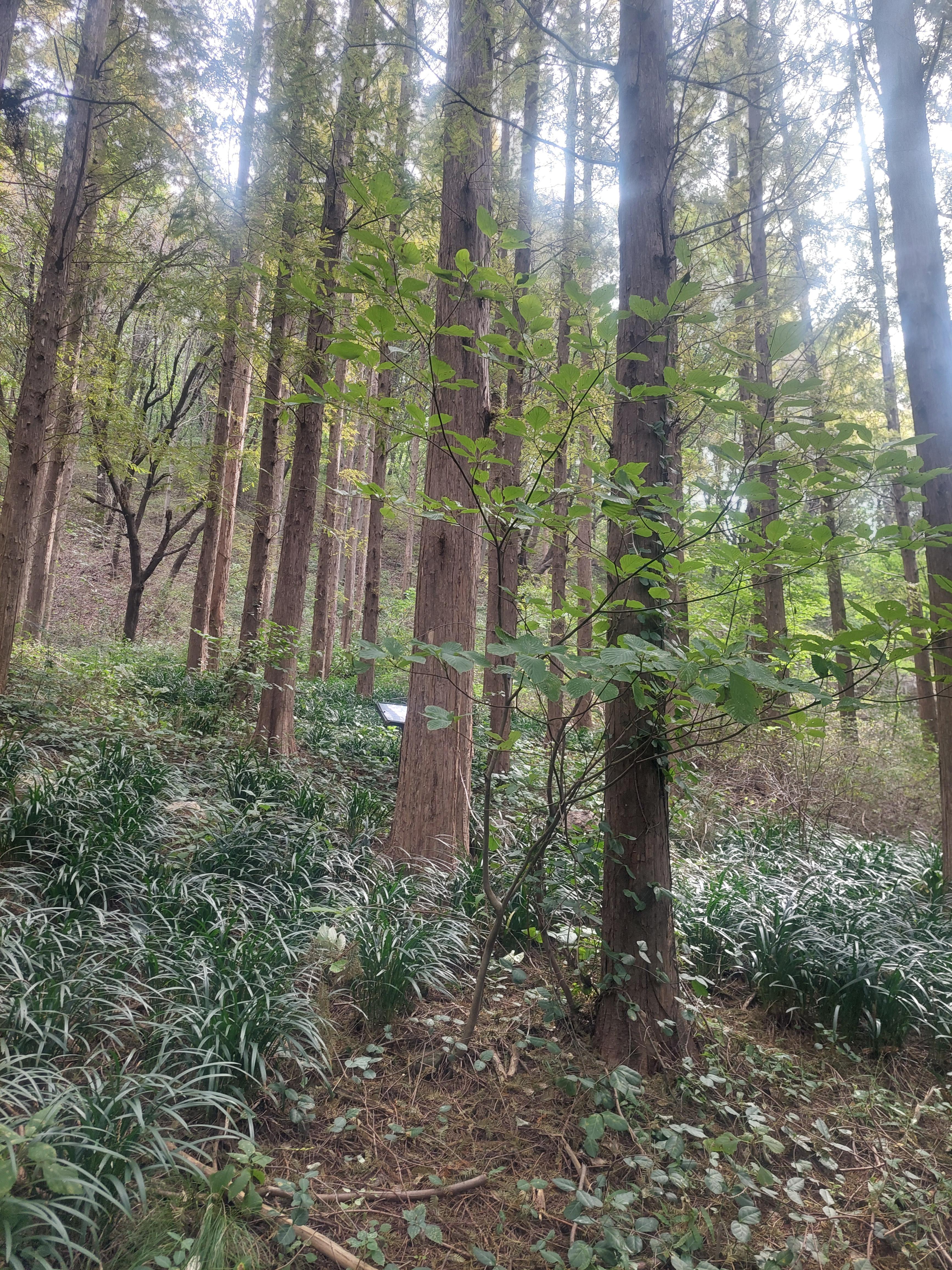안산
