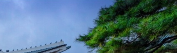 청와대 야간관람신청