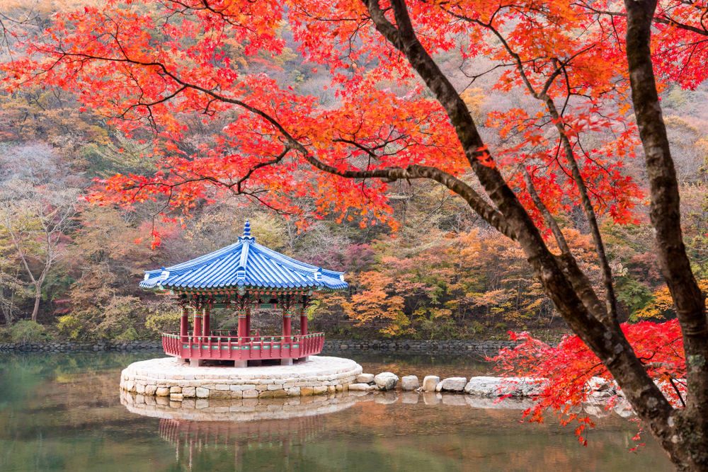 내장산 내장사 풍경