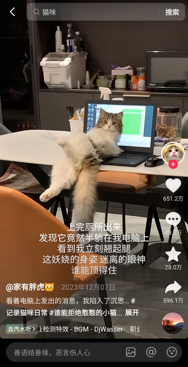 중국어로 고양이 猫