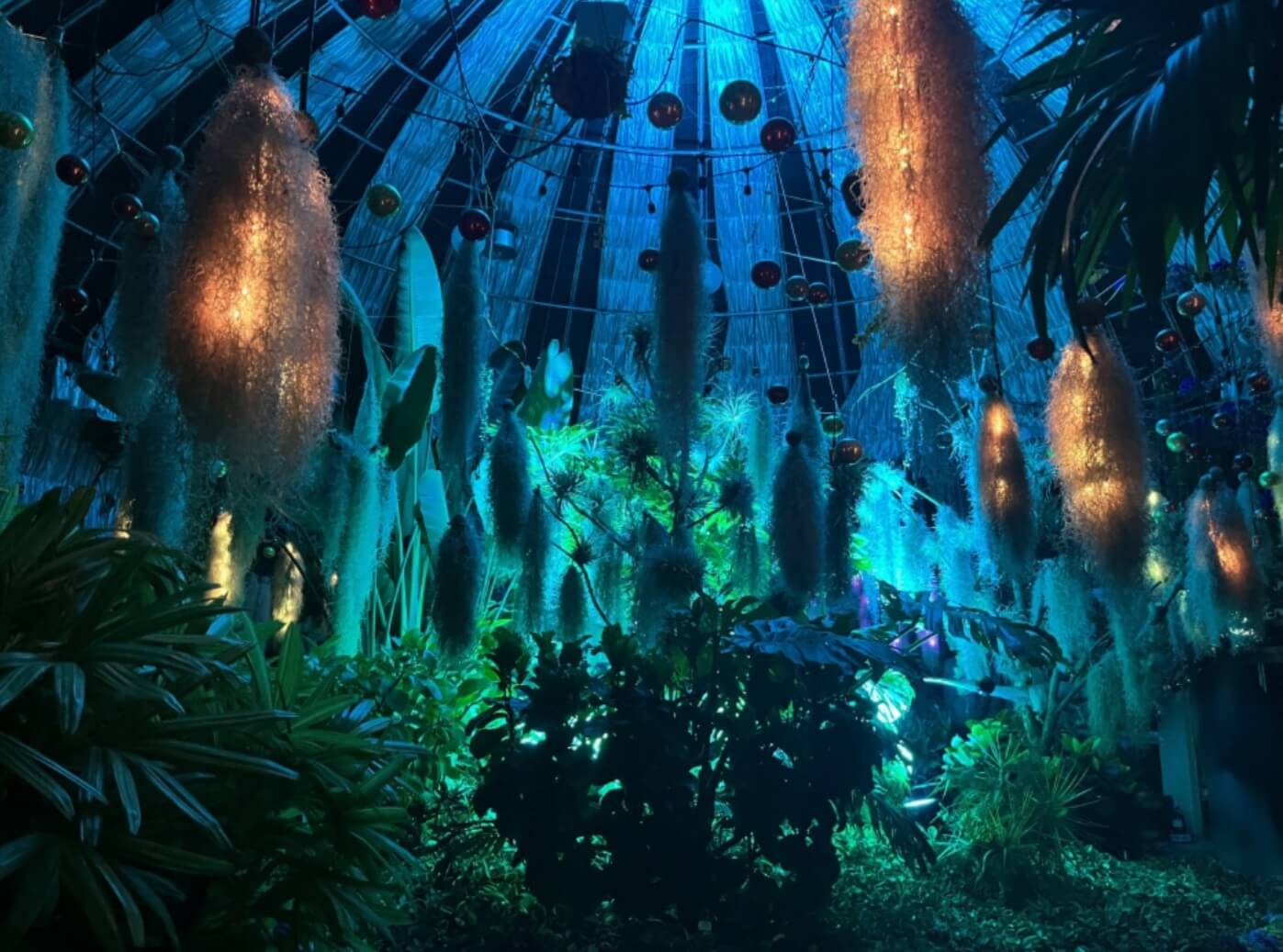 2025 경남 고성 공룡 세계엑스포 !