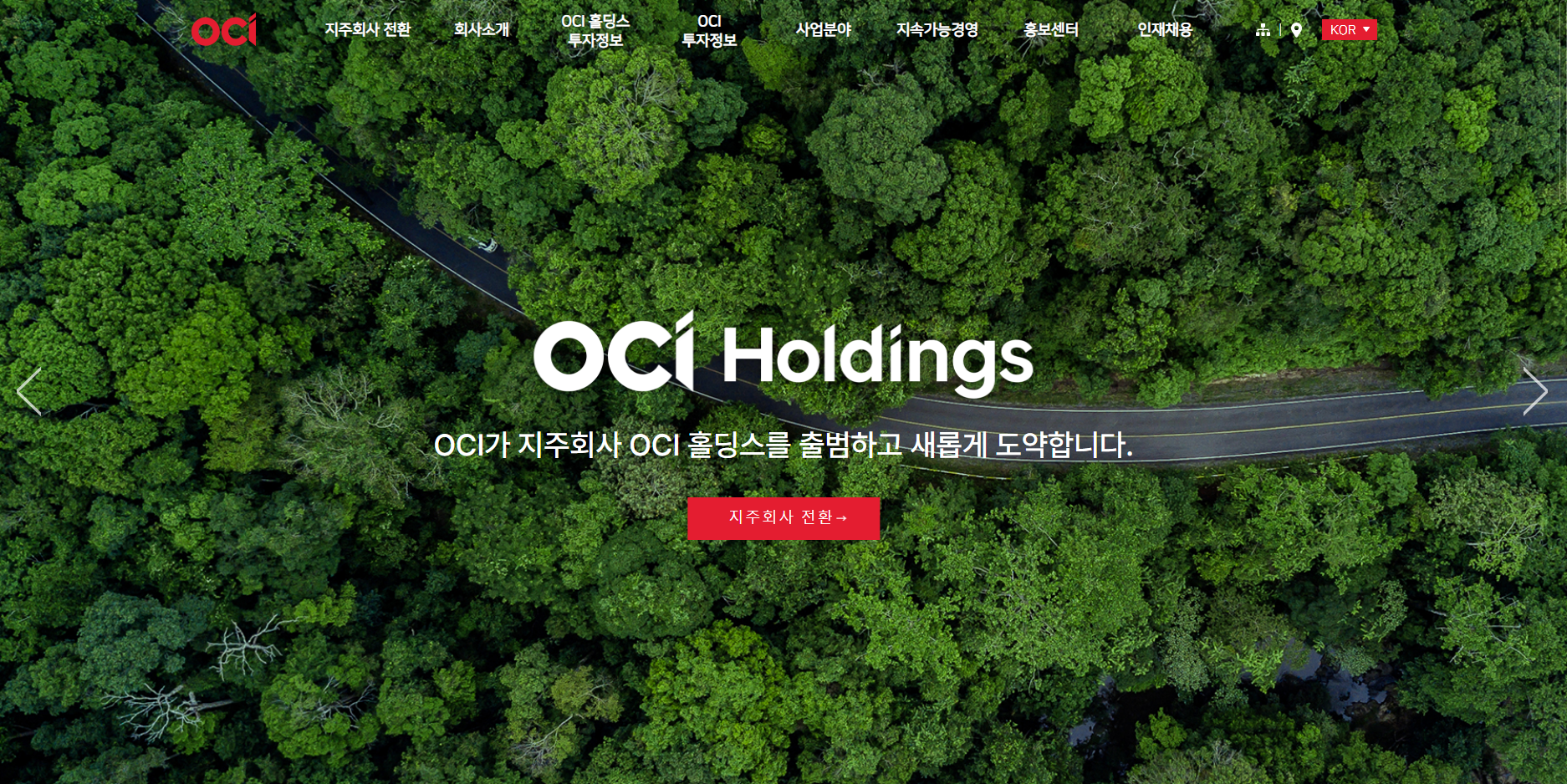 OCI홀딩스