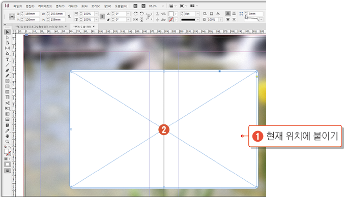 카메라 포커스16