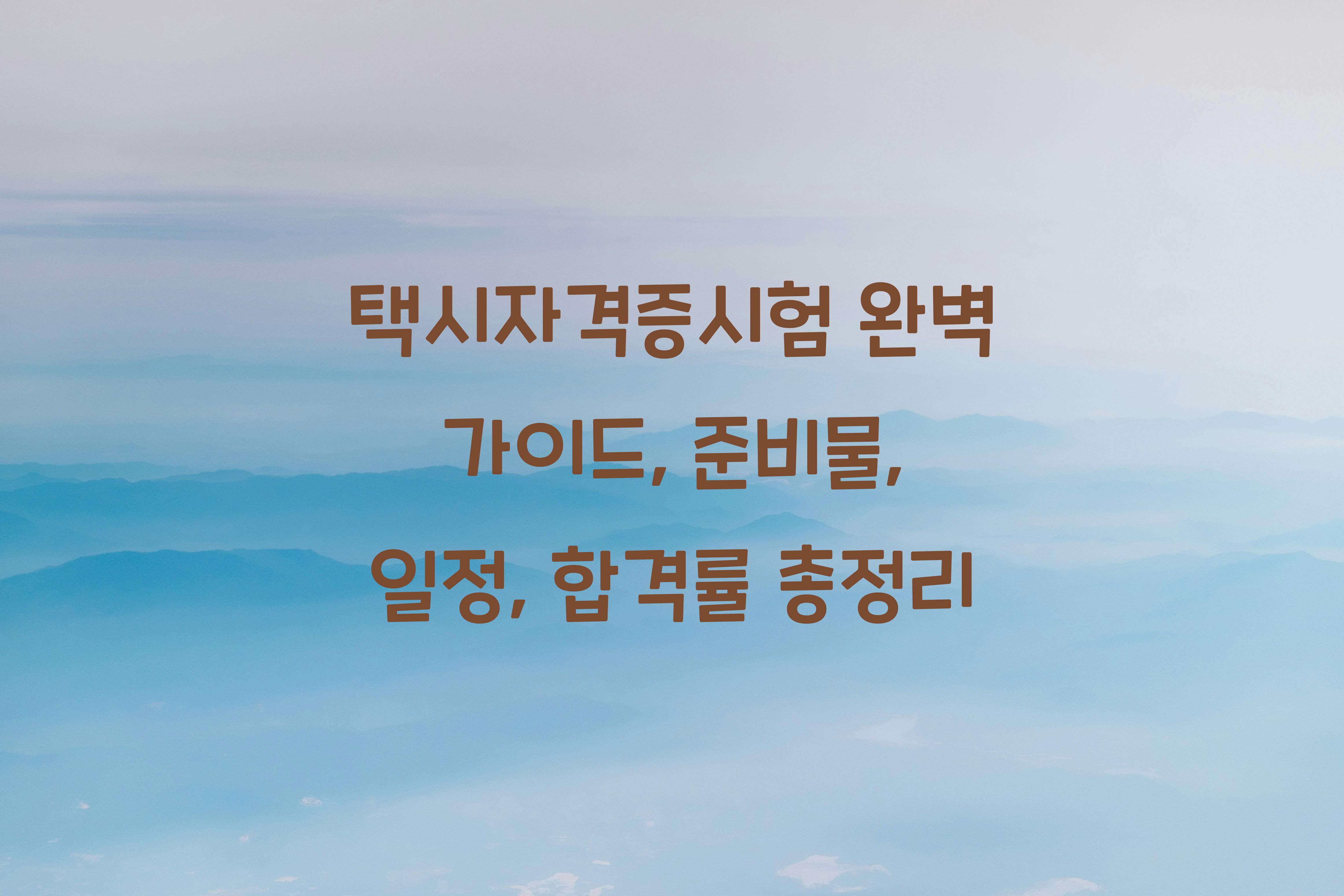 택시자격증시험
