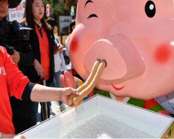 진안홍삼축제_22