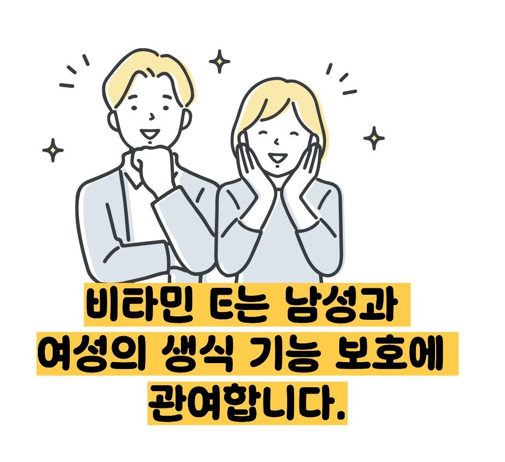 비타민e의 효능