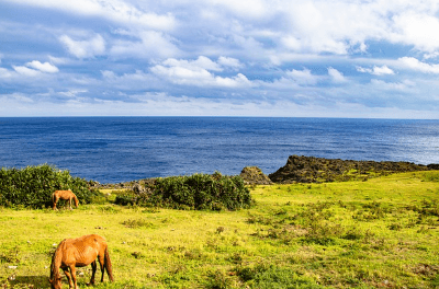 오키나와 1월 날씨