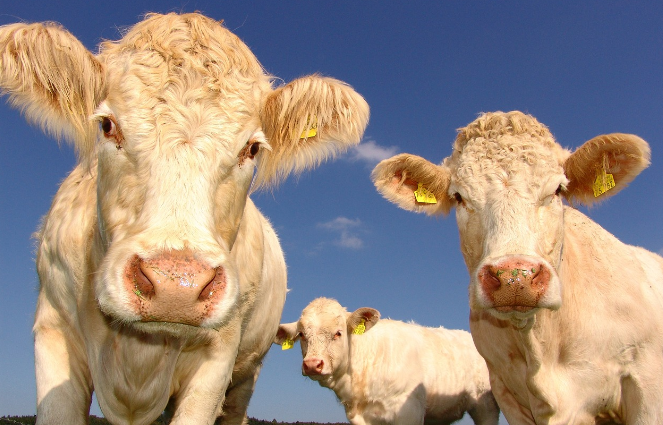 오늘의 운세 10월 31일