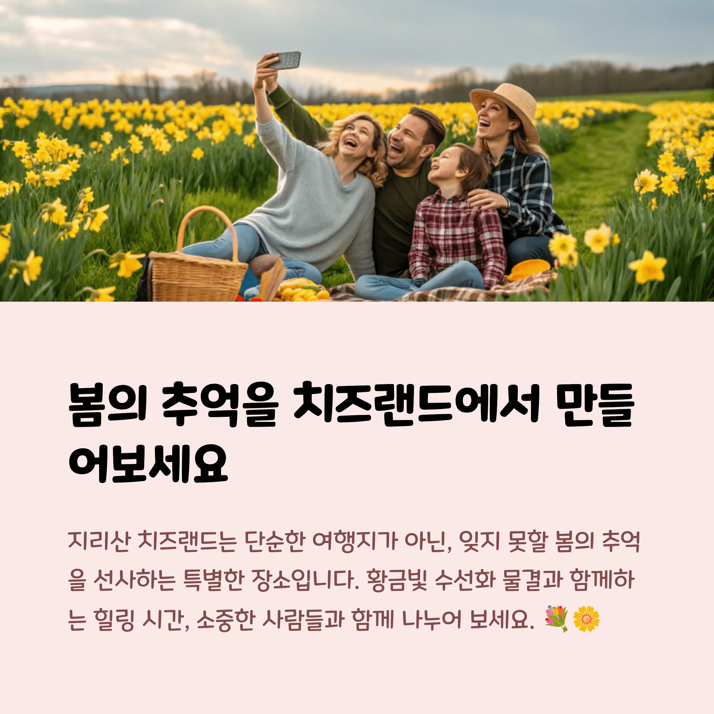 전남 구례 치즈랜드: 수선화, 치즈, 산책의 감성 폭발 명소