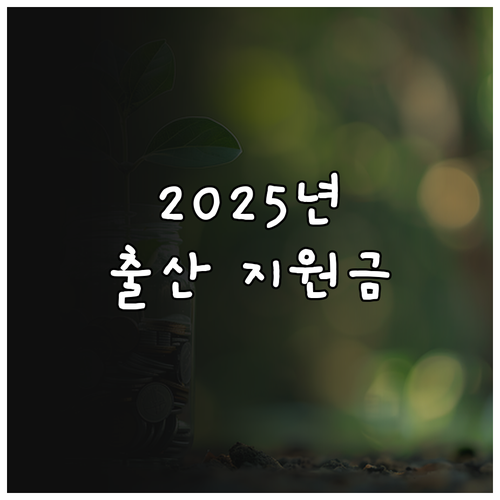 2025 달성군 출산 가정 필독 출산..