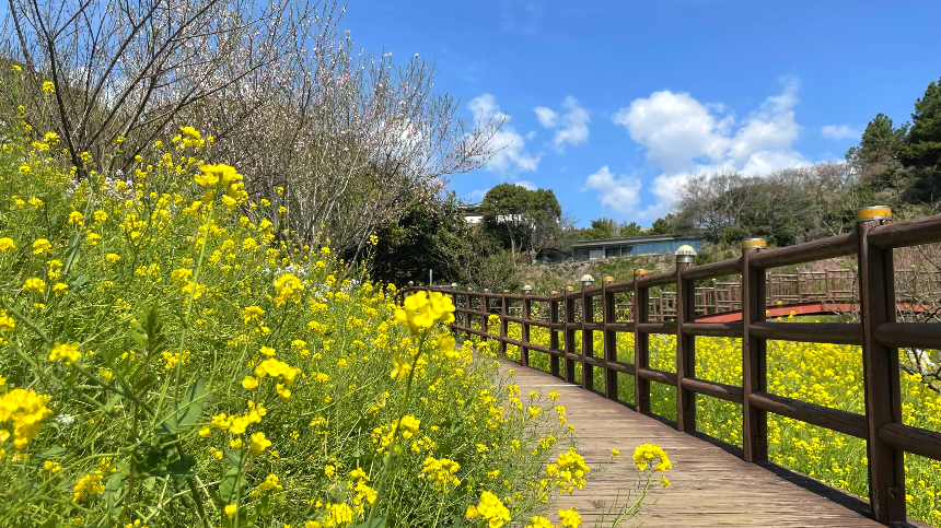 중문 미라지 내려가는 길