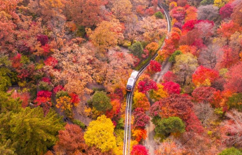 2025년부터 화담숲 예약하기