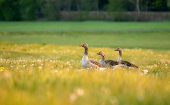 근로자 대상 정부지원 저금리 대출 11