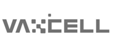 박셀바이오 무상증자 주가 급등 간암치료제 완전관해