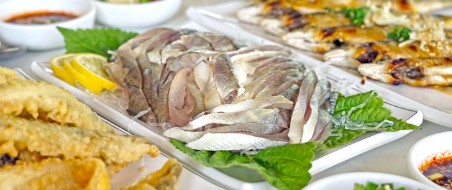 곡성 장미축제