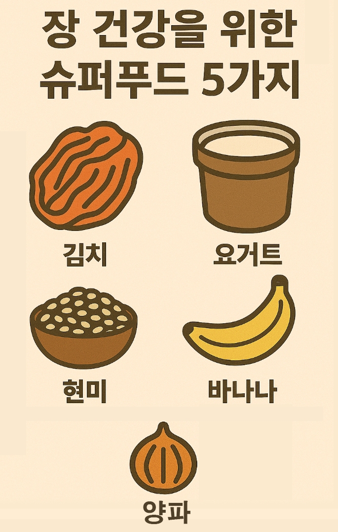 장건강을위한슈퍼푸드5가지