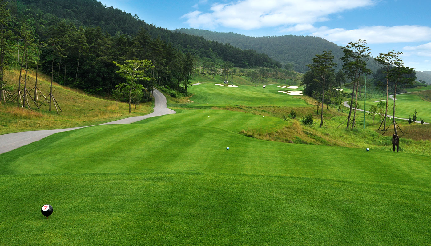 바다가 어우러진 해남 '파인비치cc 골프장' 소개