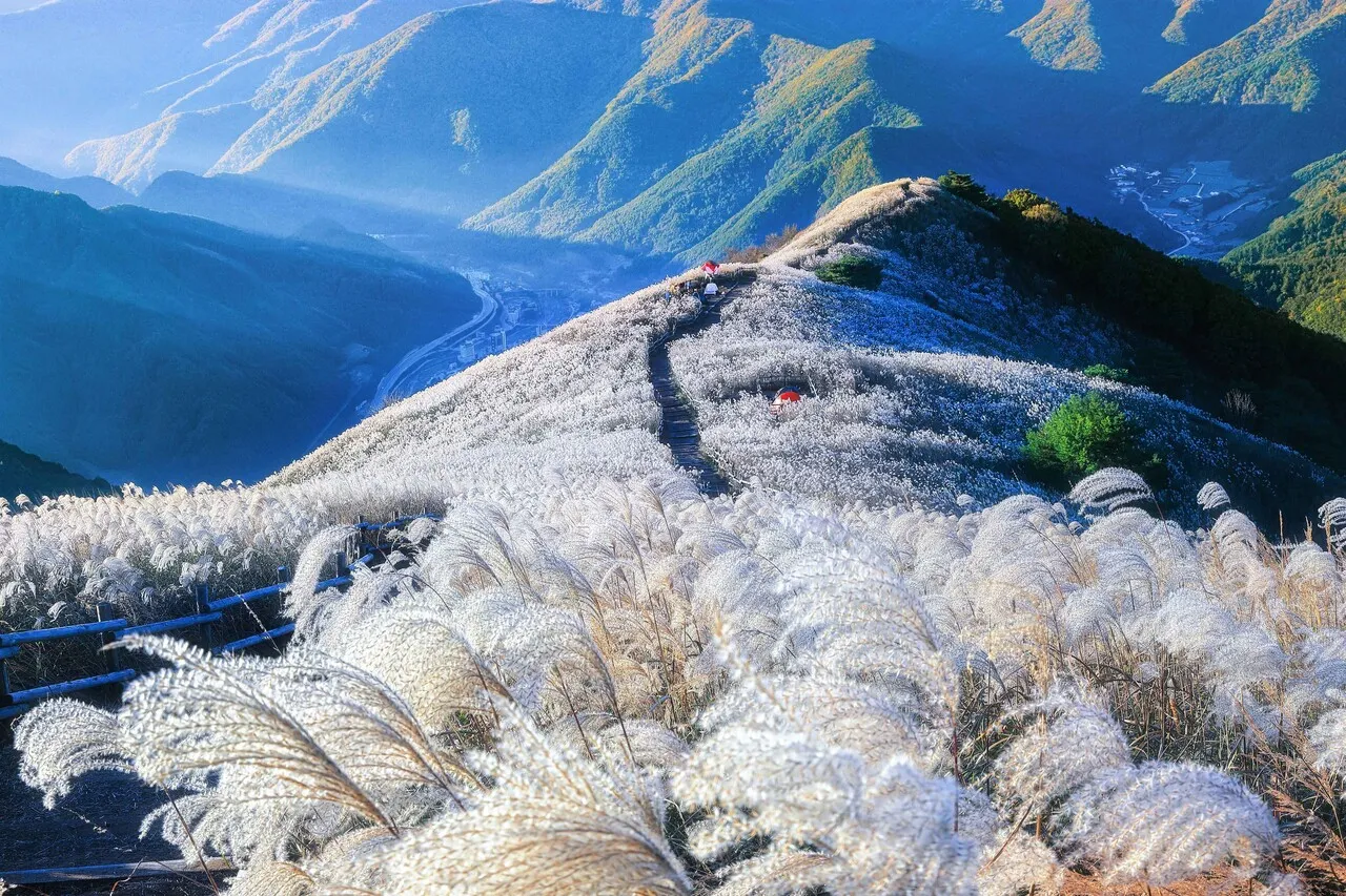 조용한 국내 1박2일 여행지 숨겨진 명소 10선_5