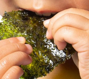 김 효능 영양성분