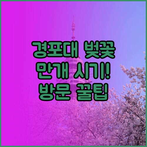 강릉 경포대 벚꽃 개화 및 만개 시기..
