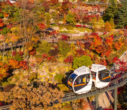 화담숲 예약 3분만에 성공하는 꿀팁
