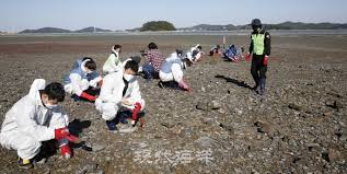 해양 생태 복원 연구원 하는 일과 하루 일과