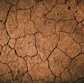 건조증 증상 피부 안구 코 구강 원인 치료법