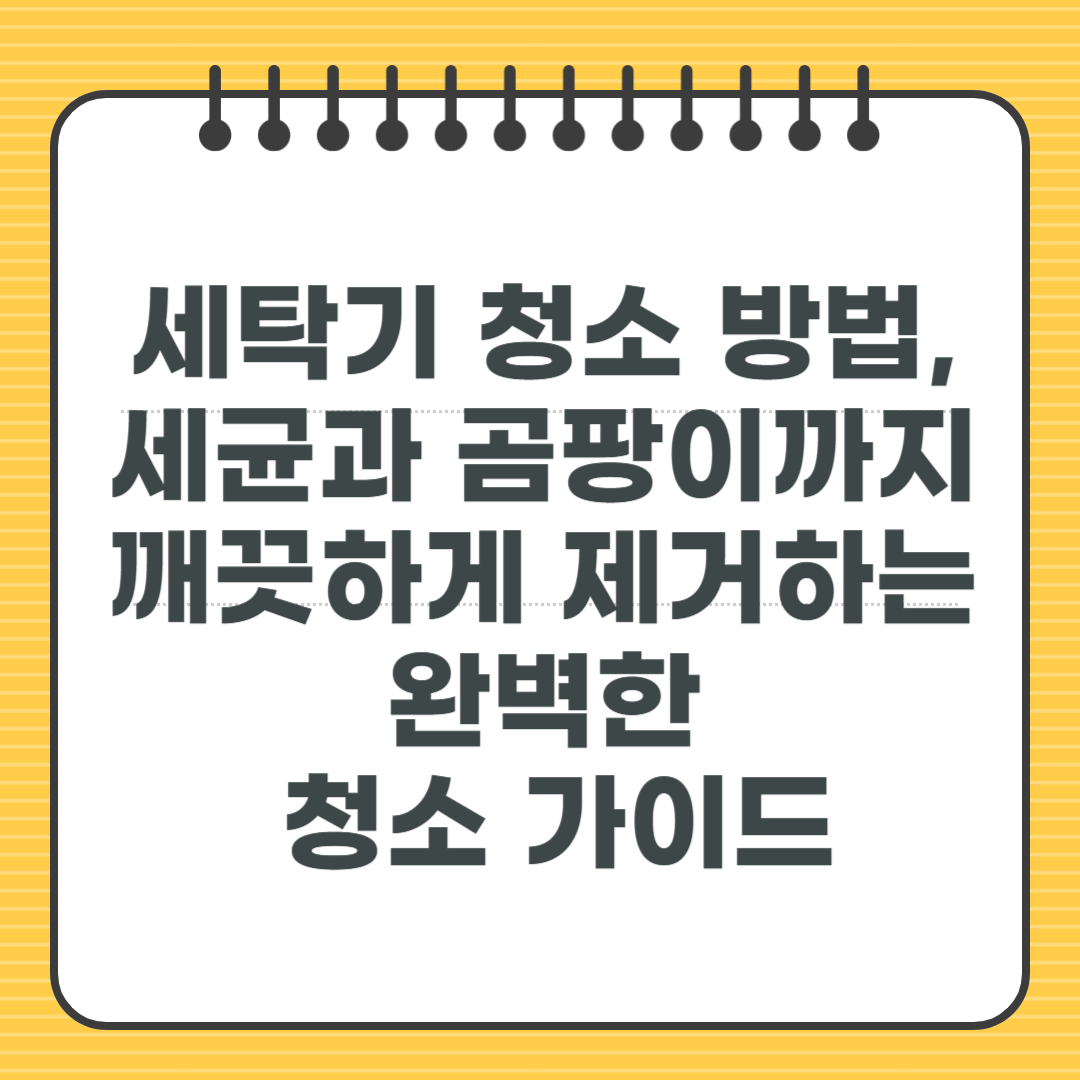 세탁기 청소 방법, 세균과 곰팡이까지 깨끗하게 제거하는 완벽한 청소 가이드
