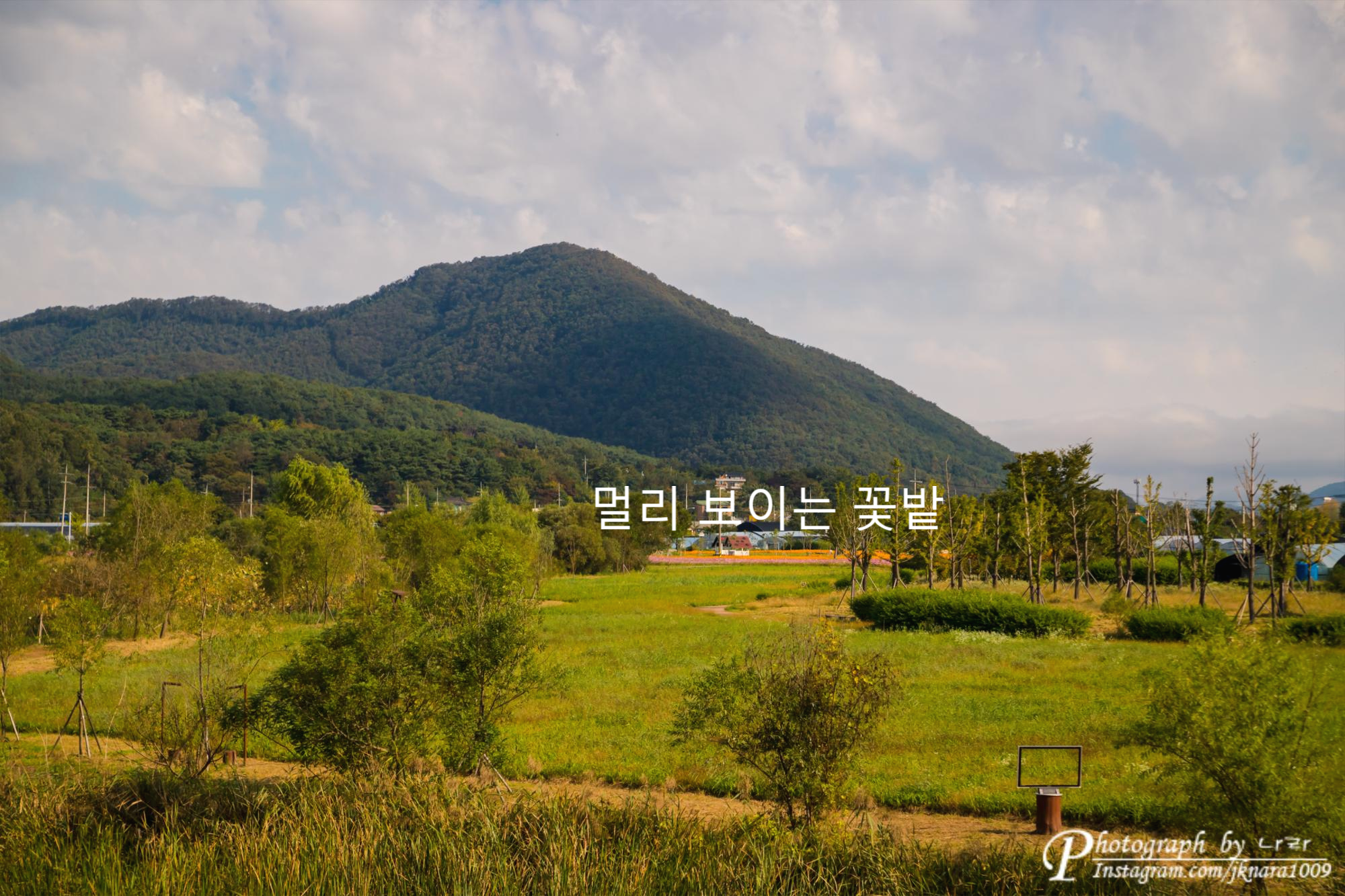 멀리 보이는 꽃밭