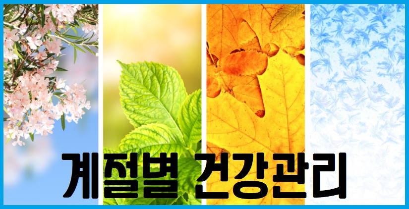 계절별 건강관리