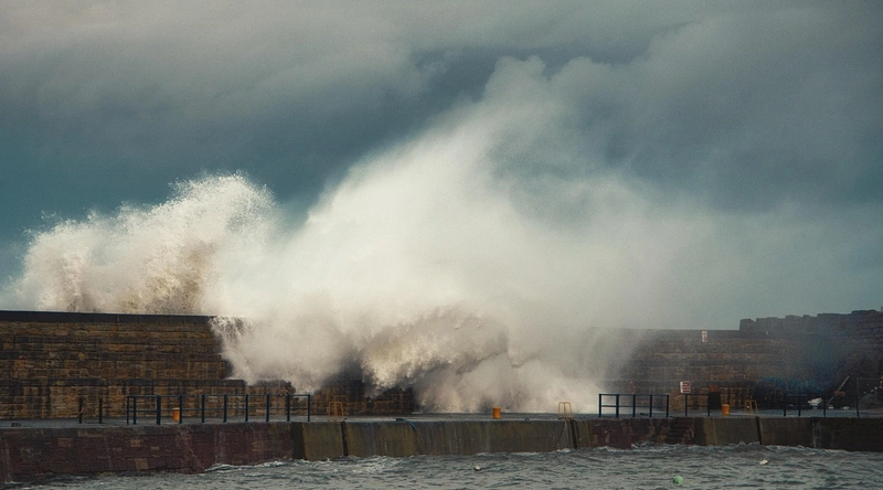 FAQ: 자주 묻는 질문