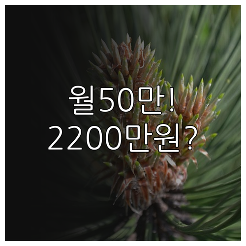 청년미래적금 월 50만원 3년 납입하..