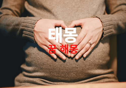 꿈에 어떤 동물 곤충이 나와야 태몽에 일까요? 용과 호랑이 구렁이 잉어 나오면 태몽일까? (태몽꿈종류, 태몽의미)