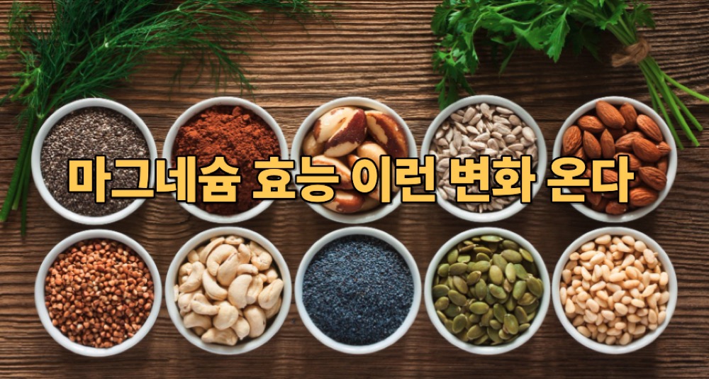 마그네슘 효능