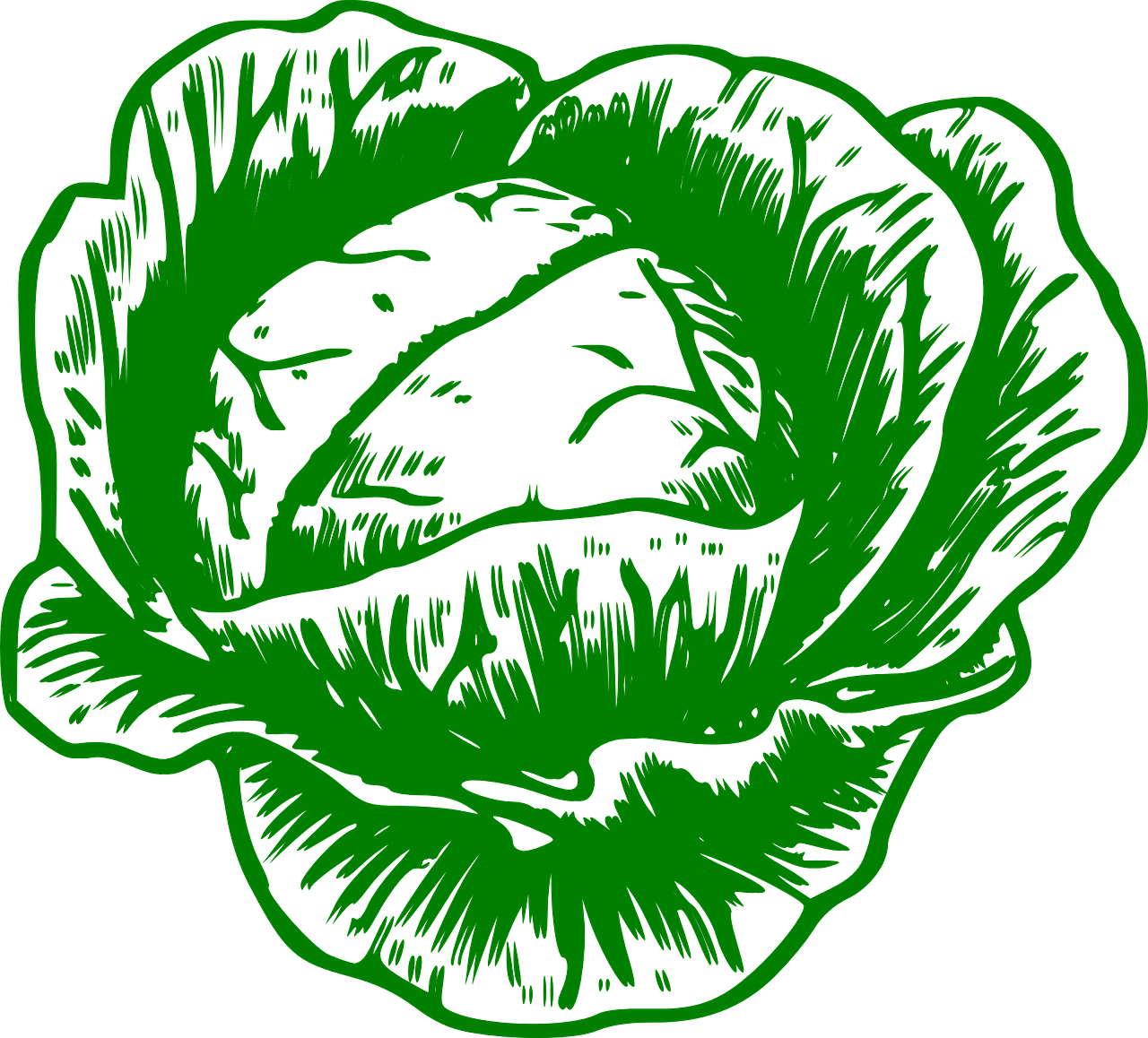 김장배추 모종 심는 최적의 시기와 방법