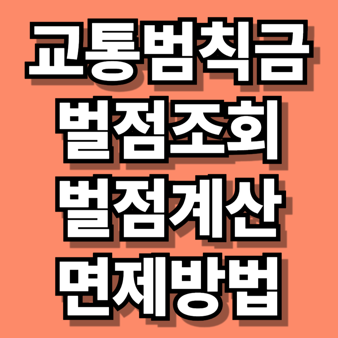 교통범칙금 관련 사진