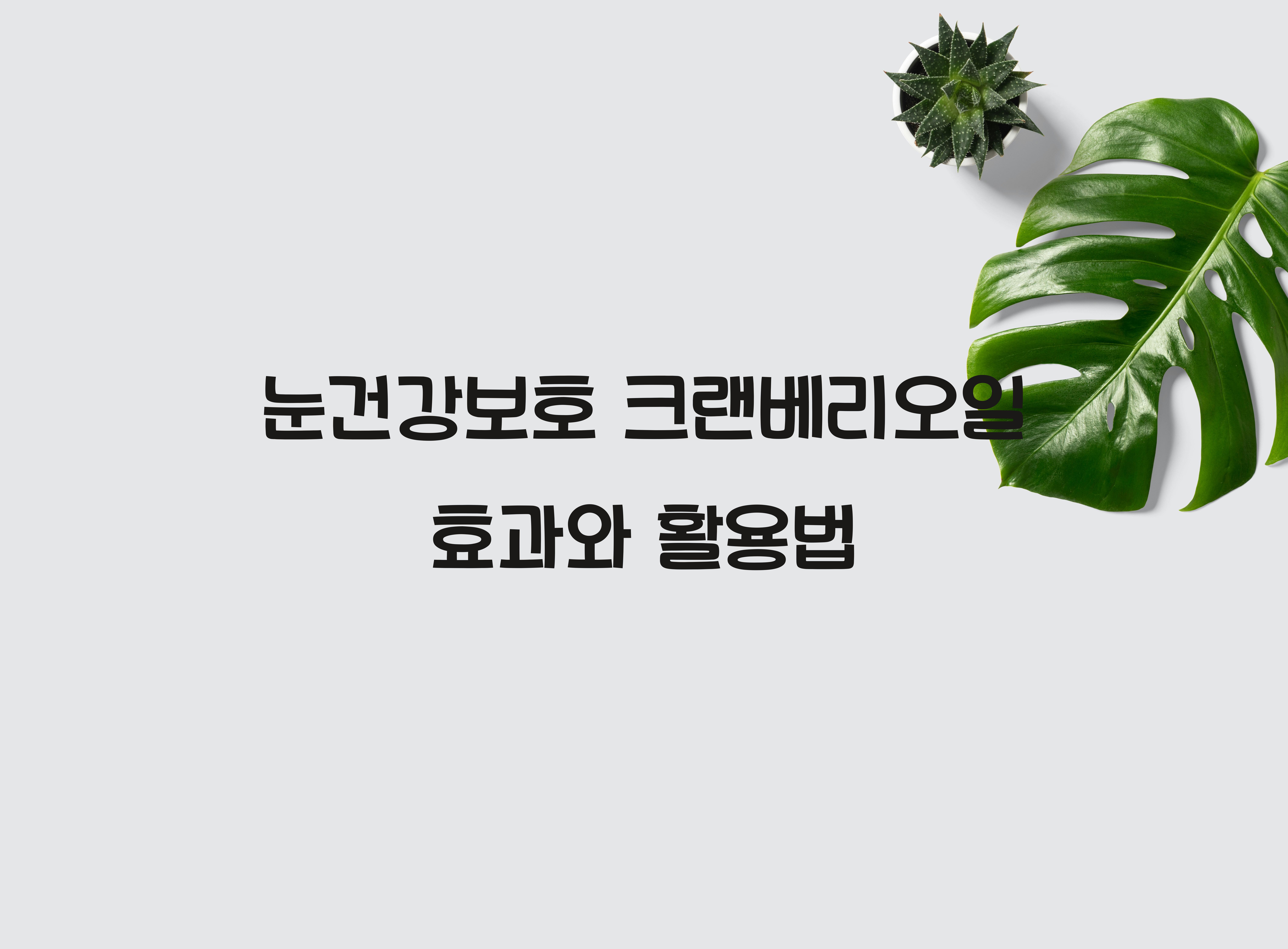 눈건강보호 크랜베리오일