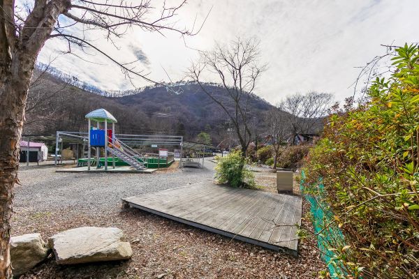 B존사이트