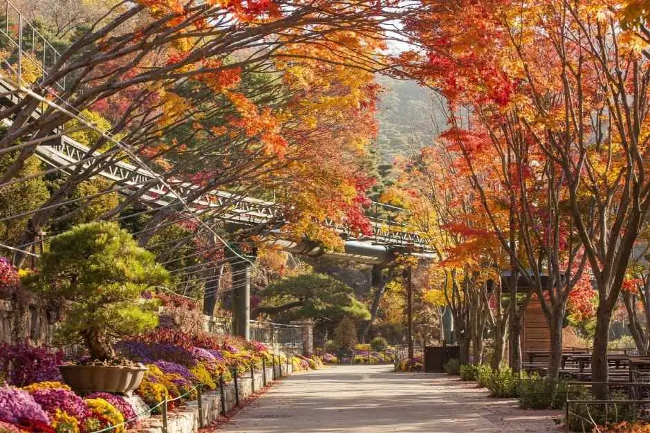 화담숲 단풍 축제