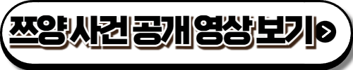 쯔양 사건 공개 영상 확인