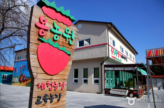 딸기 체험농장 추천